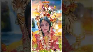 जयमातादी वाचलाइक कमेंट🌺🌺🌺🌺🌺🙏🧿🧿 वैष्णावी ब्लॉग [upl. by Awad]