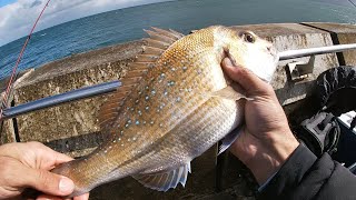 Snapper fishing off Mornington vic snapper fishing [upl. by Inverson]