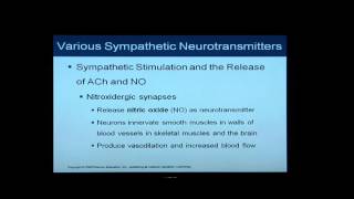 Anatomy and Physiology Help Chapter 16 Light OverviewFlythrough of Autonomic Nervous System [upl. by Green]