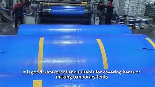 White Heavy Duty PE Tarpaulin Multipurpose Tarpaulin Cover MultiPurposeWaterproofPolyTarpCover [upl. by Ahsata]