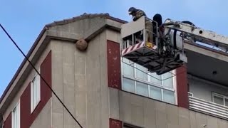 Los bomberos retiran un nido de velutinas en Ourense [upl. by Odnaloy]