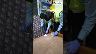 Bed Bug Control  Hommlie  Bangalore [upl. by Bulley342]