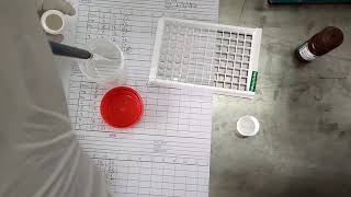 HBsAg ELISA test procedure [upl. by Soulier]