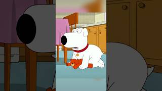 Stewie And Ruperts Unbearable Relationship familyguy funny shorts [upl. by Nylac427]