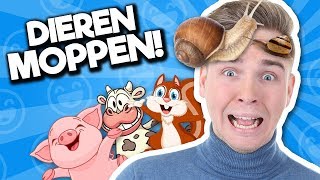 10 BESTE DIERENMOPPEN [upl. by Ohcirej164]