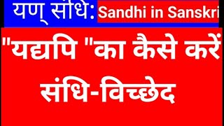 यद्यपि का संधि विच्छेद  Yan sandhi  यण् संधि संस्कृत में  Sandhi sanskrit grammaArunaKaliaa [upl. by Alram717]