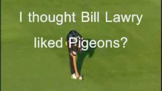 Pigeon hit with Cricket ball [upl. by Leacock]