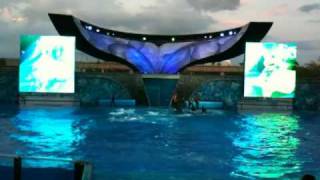 Shamu Rocks at Seaworld Orlando [upl. by Newsom936]