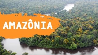 DIFERENÇAS ENTRE FLORESTA AMAZÔNICA E FLORESTA ATLÂNTICA [upl. by Kalman]