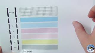 Canon Pixma TS5050TS5051 How to do a nozzle check pattern [upl. by Nolur331]