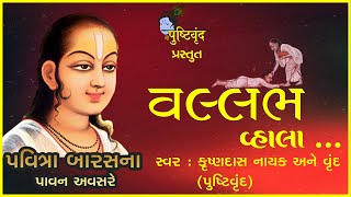 Pavitra Baras Special Vallabh Vahla Vinati Mari  વલ્લભ વ્હાલા વિનતી મારી [upl. by Alehc]