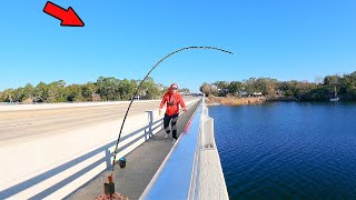 Fishing a Florida Bridge When Things Got Wild [upl. by Karie]