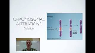 Chromosomal Mutations [upl. by Elyk]