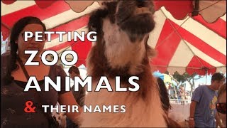 Petting Zoo Animals amp Their Names for babies toddlers preschool [upl. by Zorana976]