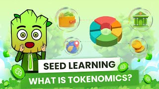 What is TOKENOMICS How to spot Good Tokenomics of a Project  SEED Learning 13 [upl. by Adnalue]