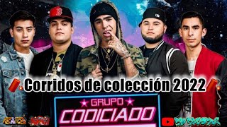 🧨grupo codiciado ❌mix corridos de coleccion 2022codiloco puros corridasos [upl. by Par]