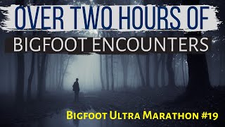 Bigfoot ULTRA MARATHON 19  Over TWO HOURS of True Bigfoot Encounters [upl. by Hazard261]