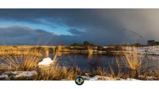 Welcome to De Hoge Veluwe National Park [upl. by Milicent562]