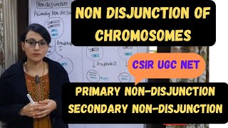 Nondisjunction of Chromosomes  Primary Nondisjunction  Secondary Nondisjunction CSIRNET [upl. by Akili422]