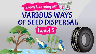 Various ways of Seed Dispersal  Science  Grade34  TutWay [upl. by Karr]