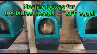 5 Pack Nesting Boxes for Chicken Coop  Chicken Nesting Box for Laying Eggs  Review [upl. by Giorgi]