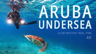 Aruba Undersea  a 1hour Undersea Film filmed in 4K slow motion and realtime [upl. by Piane]