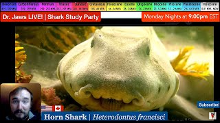 Dr Jaws LIVE 57 Horn Shark Study Party [upl. by Kraul346]