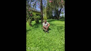 ISIMBA JAZZ  BO NGO NGETAI OH KWONYI Official Music Audio [upl. by Surtimed]