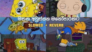 මතක අවුස්සන මනෝපාරකට  Slowed and Reverb Songs  manoparakata sindu playlist [upl. by Latricia]