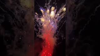 Sky Shot Diwali Special ✨ Red Howling Wolf Fireworks Cakes multiple SkyShot 🔥 [upl. by Charters]