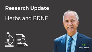 Research Update Herbs and BDNF [upl. by Flann]