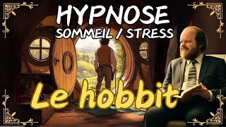 Une Histoire Hypnotique pour Dormir  🧙‍♂️ BILBO le hobbit  Hypnose pour dormir ou stress [upl. by Eleon]