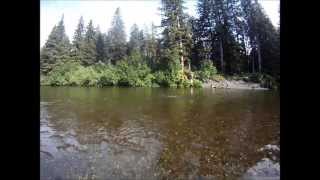 Fishing Alaska Red Salmon and Halibut Video [upl. by Airamzul221]