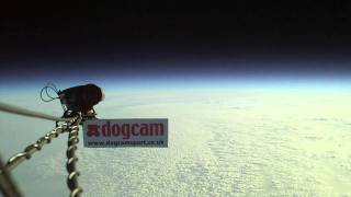 DogCamSport flies to the edge of space 110000ft on a balloon [upl. by Leahey]