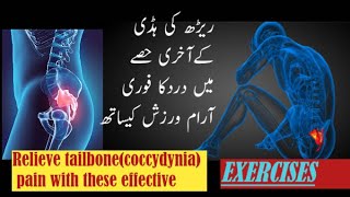 tailbone pain exercisestailbone pain when sitting tailbone pain relief tipsCoccyx Pain Relief [upl. by Yeldah547]