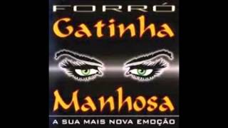 Gatinha Manhosa Volume 1  Sei Que Vai Ser Assim [upl. by Polito]