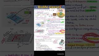 Gel electrophoresis explained in 1 minute Neet2025Biotechnology shorts [upl. by Akirahs]