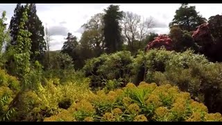 Lost Gardens of Heligan April 2015 [upl. by Anerac215]