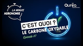 Cest quoi le carbone Oxydable  EP7 [upl. by Laurentia799]