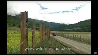 The Last Paradise Bumthang valley Bhutan [upl. by Bowers]