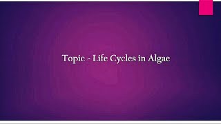 Life Cycles in Algae  Different types  Hindi [upl. by Allimaj]