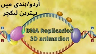 DNA Replication3D animation [upl. by Einon355]