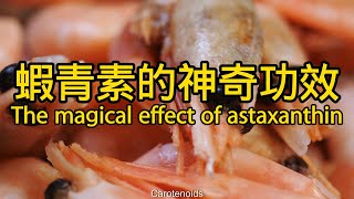 蝦青素的功效與作用 The efficacy and function of astaxanthin [upl. by Latreece489]