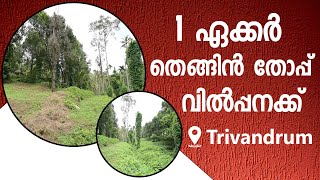 Land For Sale In Trivandrum Vithura  Contact Owner Directly [upl. by Enotna]