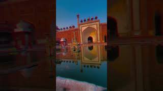 History of Jama Masjid Agra agra agrajamamasjid❤️ jamamasjid vlog sameerkhanagra vira [upl. by Millwater131]