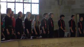 Kammerchor des Gymnasiums Muttenz Kanton Baselland Crowd Sounds  EJCF Basel 2018 [upl. by Yelloh]