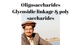 Carbohydrates Oligosaccharides Disaccarides poly saccharides Glycosidic linkage in hindiurdu [upl. by Annahtur632]