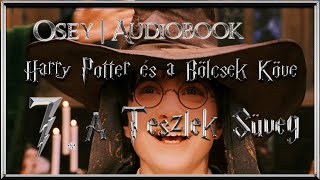 Harry Potter és a Bölcsek Köve hangoskönyv  7 fejezet [upl. by Airdni]