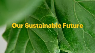 Our Sustainable Future [upl. by Trinl]