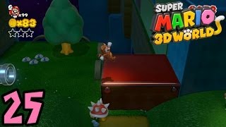 Lets Play Super Mario 3D World German10025 Ganz schön knifflig [upl. by Alleunamme658]